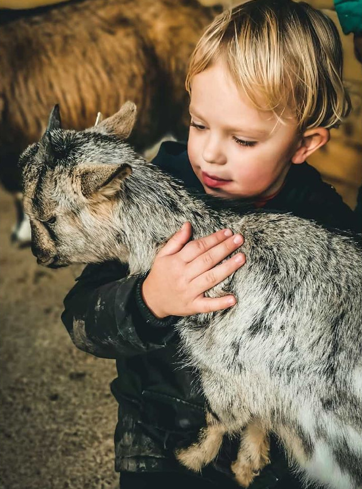 Innocence + plaisir simple + tendresse universelle = le bon mix