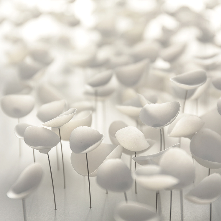 M�lant fragilit�, po�sie et d�licatesse, les coquelicots en porcelaine de Val�ria Nascimento invitent � la r�verie