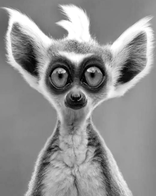 Regard post-overdose de Netflix...