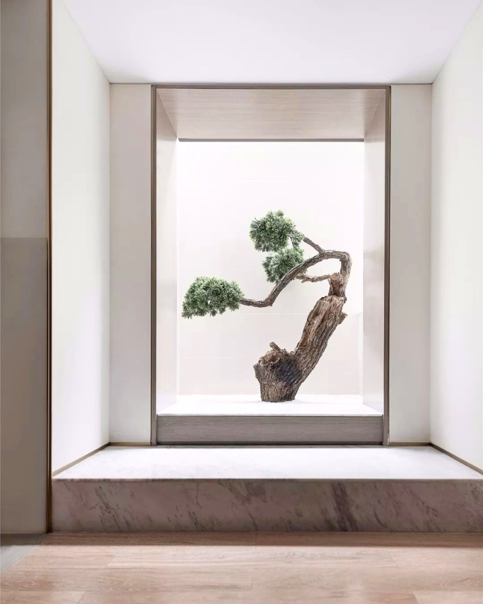 Wanted : un arbre d'int�rieur !