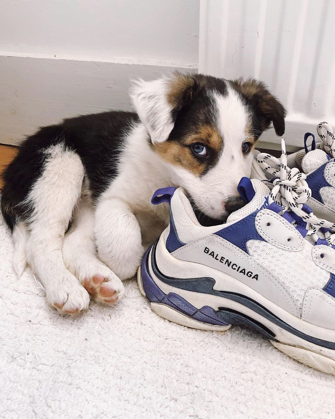 Se faire pardonner ses futures b�tises... tout un art !