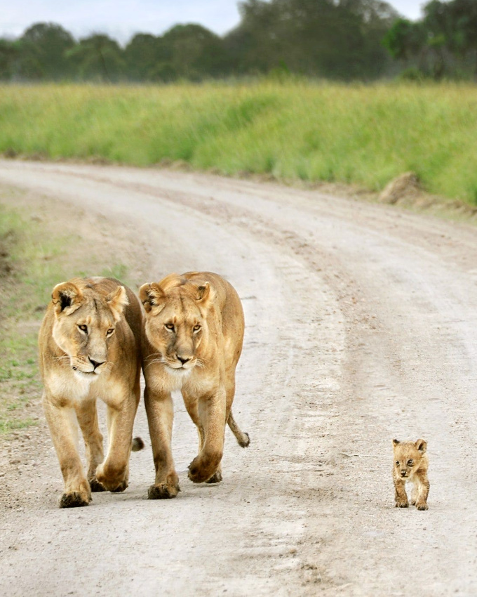 Trouver la bonne distance... le travail d'une vie !