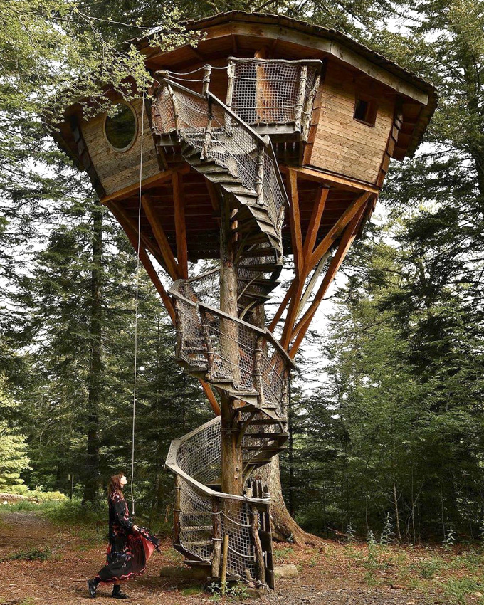 Arbre + cabane = le bon mix