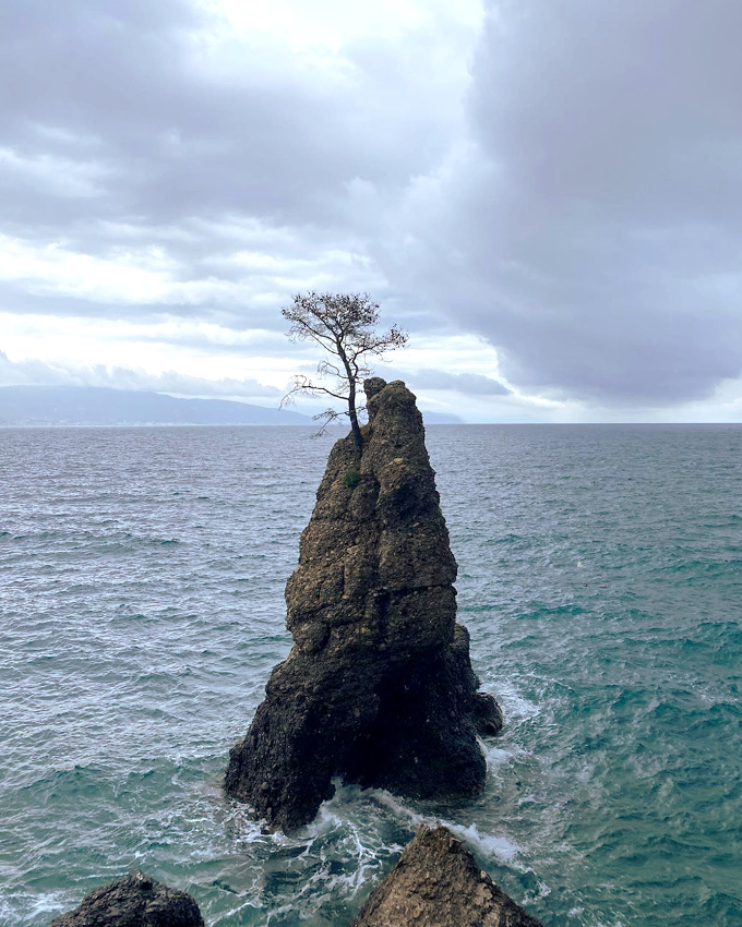 La solitude, ce luxe trop souvent sous estim�...