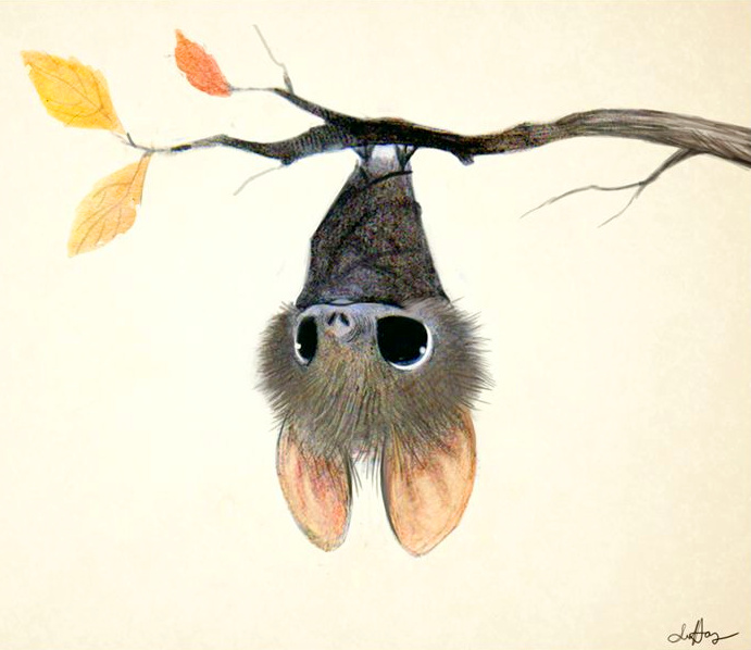 Savoir changer d'angle de vue pour appr�cier diff�remment une situation... tout un art !