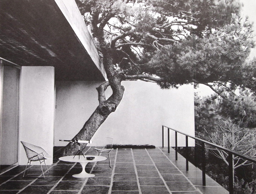 Le parfait d�tail d�co #114