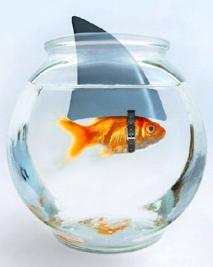 Ne jamais se fier aux apparences...