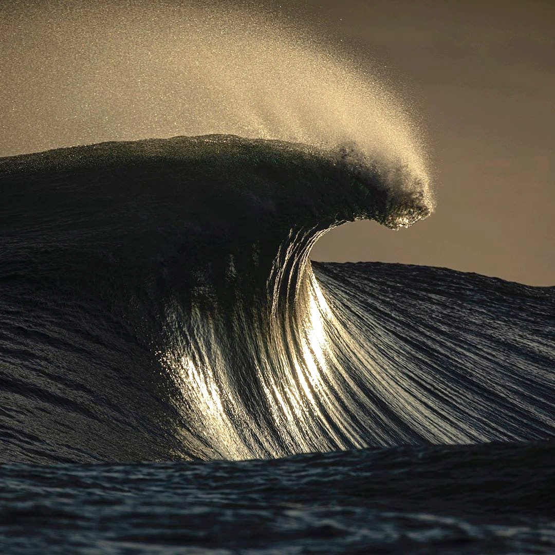 Fascination extr�me devant ces monstres sublimes...