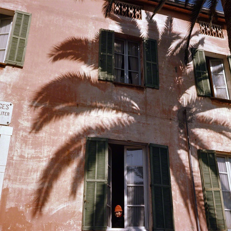 Vieux rose + vert mousse + imprim� palmier = le bon mix