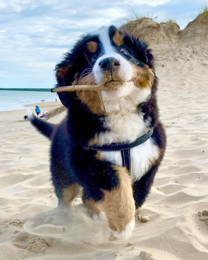 Minois irr�sistible + regard espi�gle = le bon mix