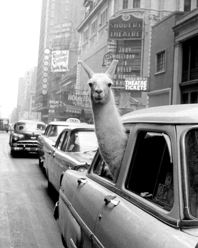 Prendre l'air... tout un art !