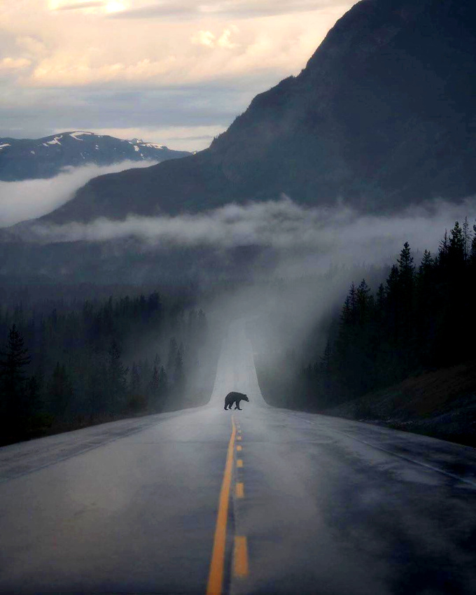 Toujours s'attendre � l'inattendu...