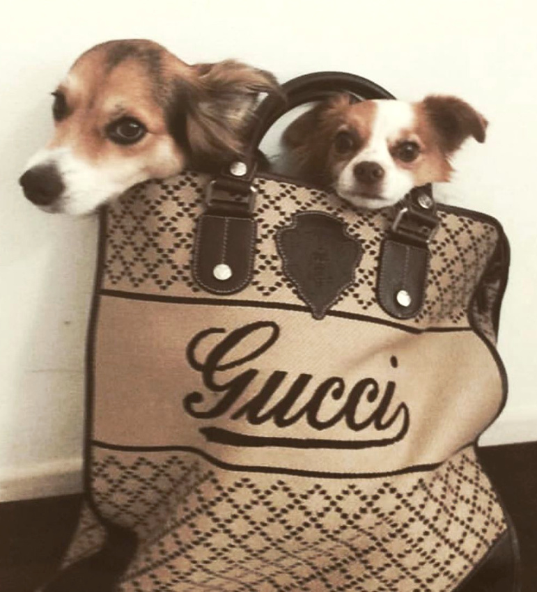 Oui au logo, mais � condition qu'il soit vintage !