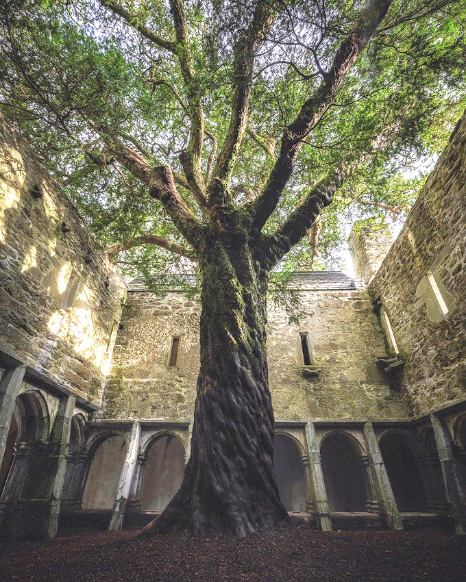 The perfect place #303