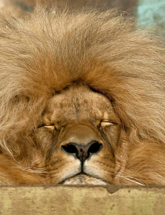 Renoncer au brushing pour quelques minutes de sommeil en plus... un petit p�ch� hautement autoris� !