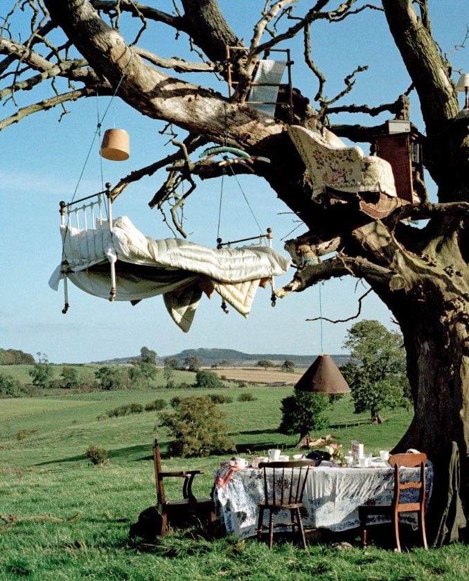 The perfect place #308