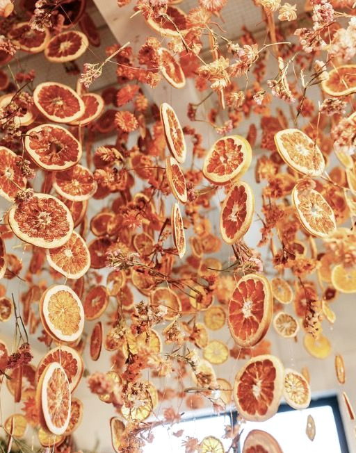 Il n'y a pas que les guirlandes de No�l dans la vie !