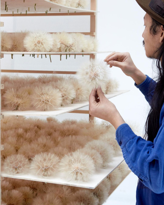 Capturer l'�ph�m�re... tout un art !