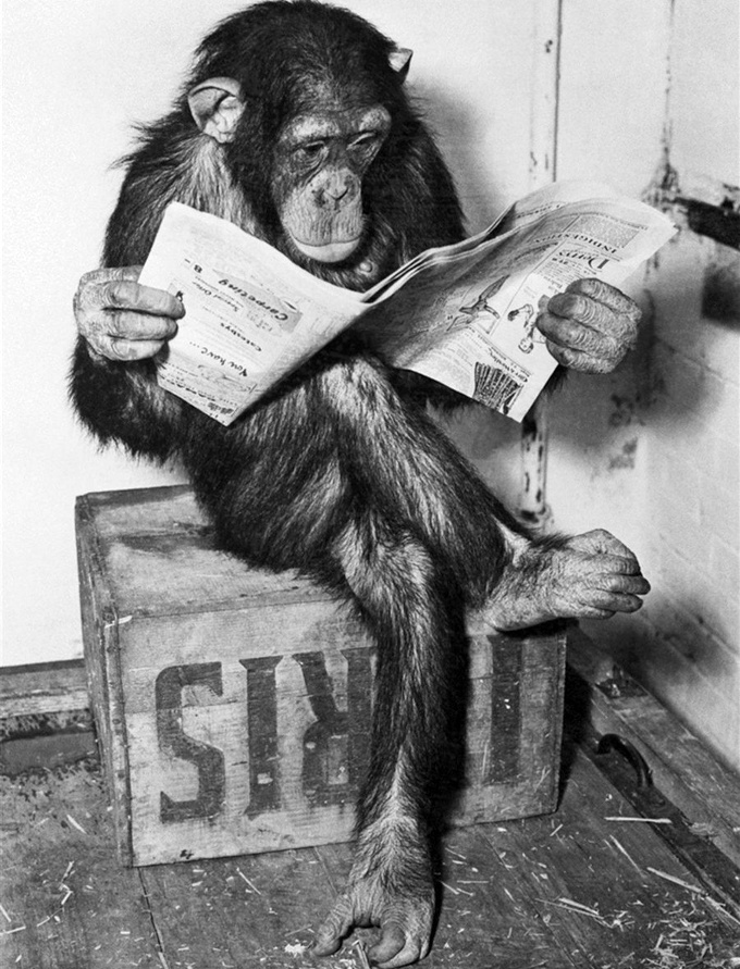 S'informer... tout un art !