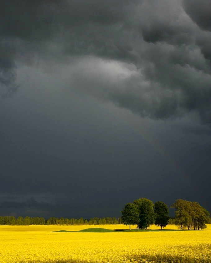 Jaune bouton d'or + gris bleut� = le bon mix