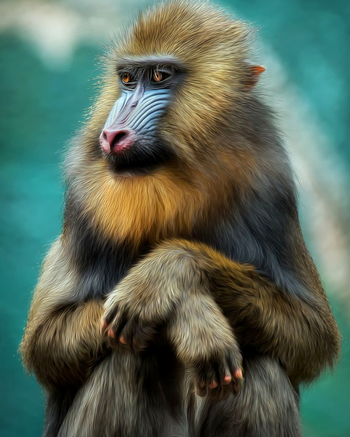 Prendre la pose... tout un art !