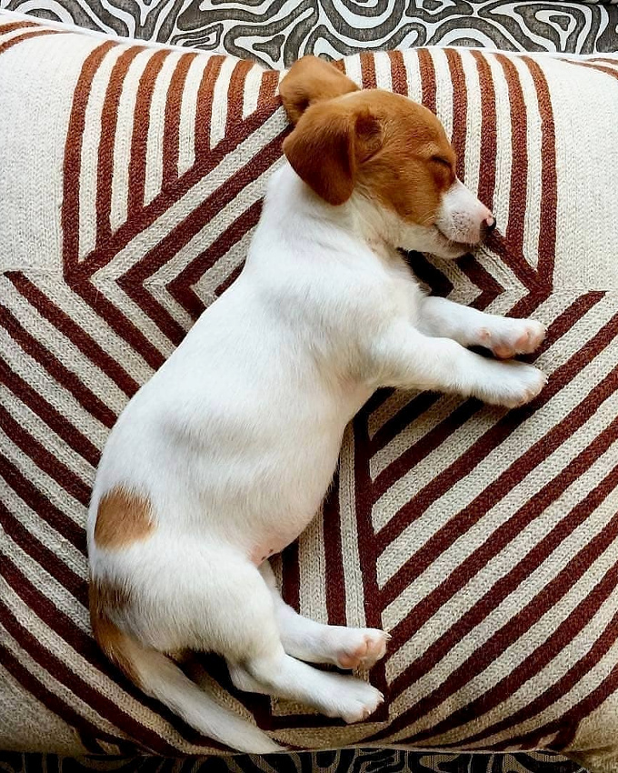 En mati�re de mix and match d'imprim�s, tout est question d'harmonie de teinte !