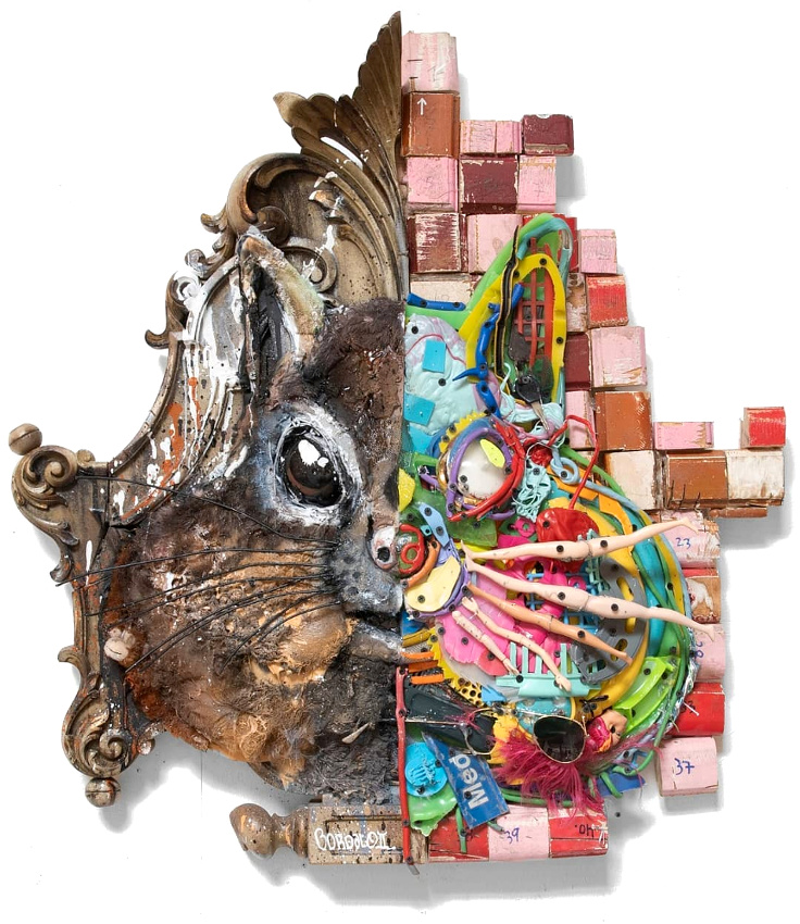 Ne jamais se fier aux apparences !