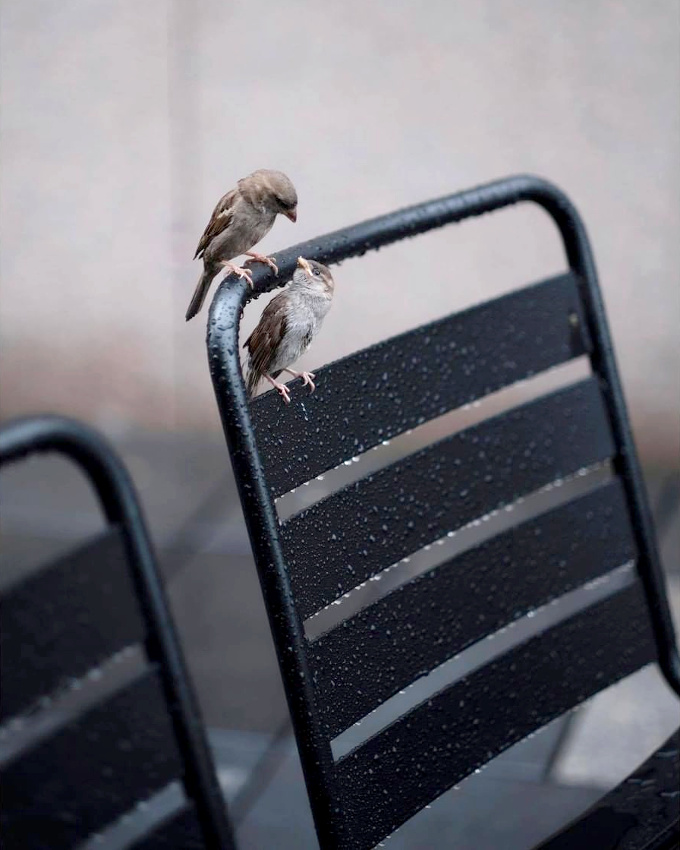 Prendre le temps de s'�couter... tout un art !