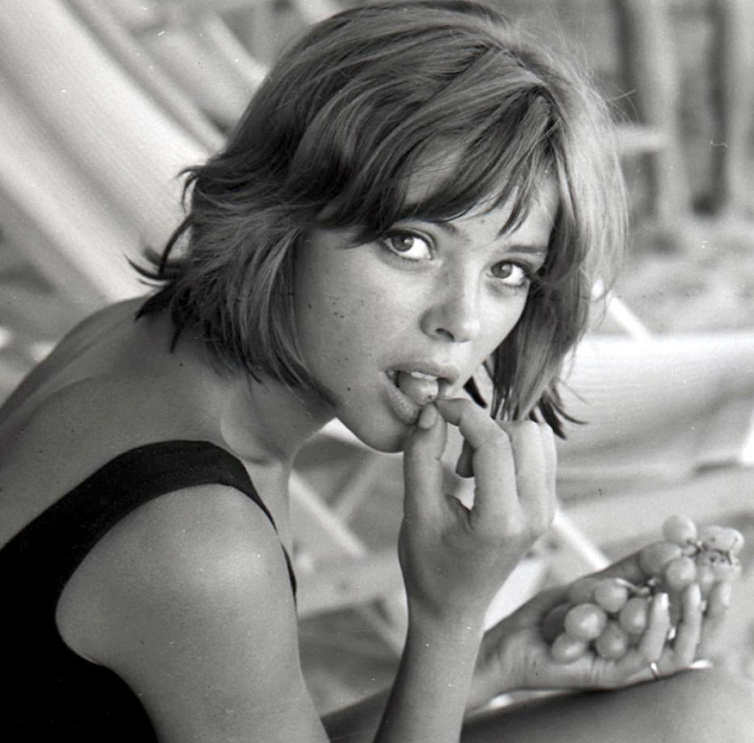 Le parfait petit carr� !