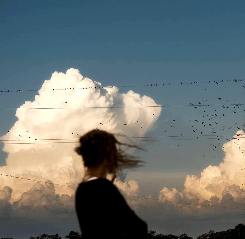 R�fl�chir... tout un art !