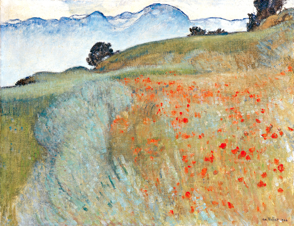 Ne pouvant s'�panouir que dans son milieu naturel, le coquelicot nous interroge sur notre capacit� � vivre hors sol...