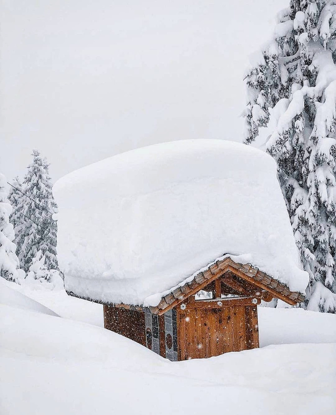 R�sister... tout un art !