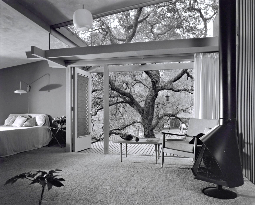 Immense baie vitr�e + arbre majestueux = le bon mix