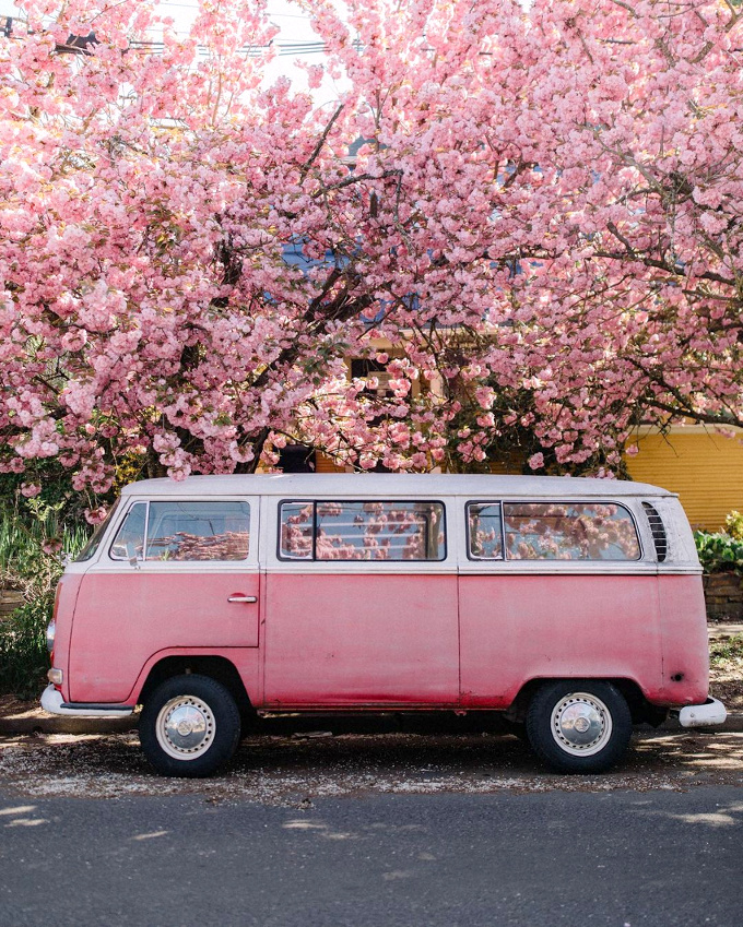 Voir la vie en rose... tout un art !