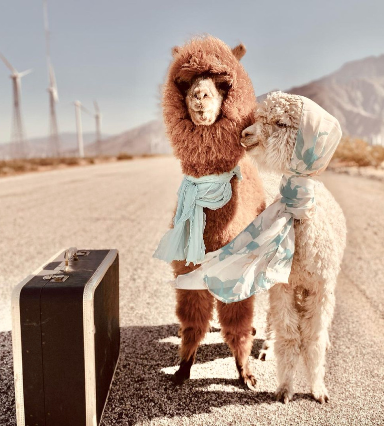 Partir enfin en voyage...