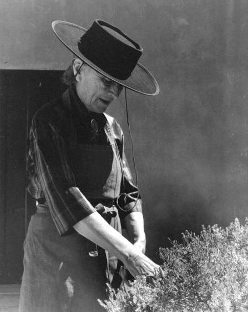 Ne jamais sous-estimer les vertus relaxantes du jardinage : plus efficace que n'importe quel yoga !