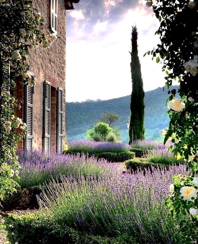 The perfect place #343