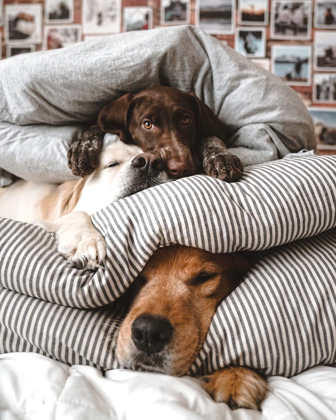 Illustration parfaite du bonheur #272