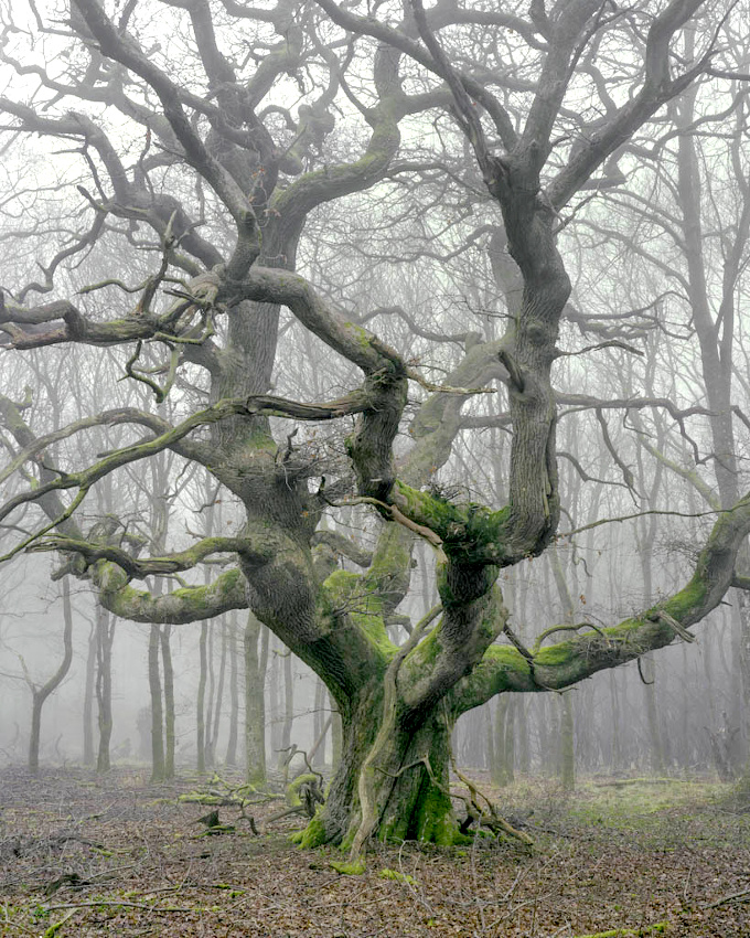 The perfect place #347