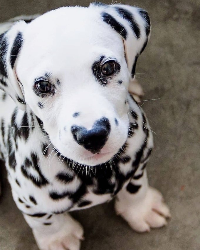 Le cent deuxi�me...