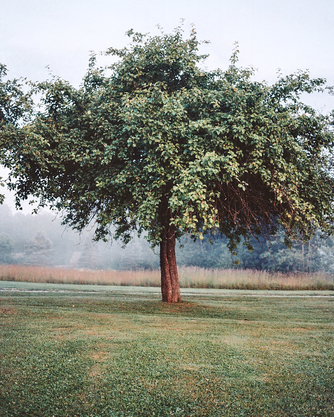 The perfect place #351