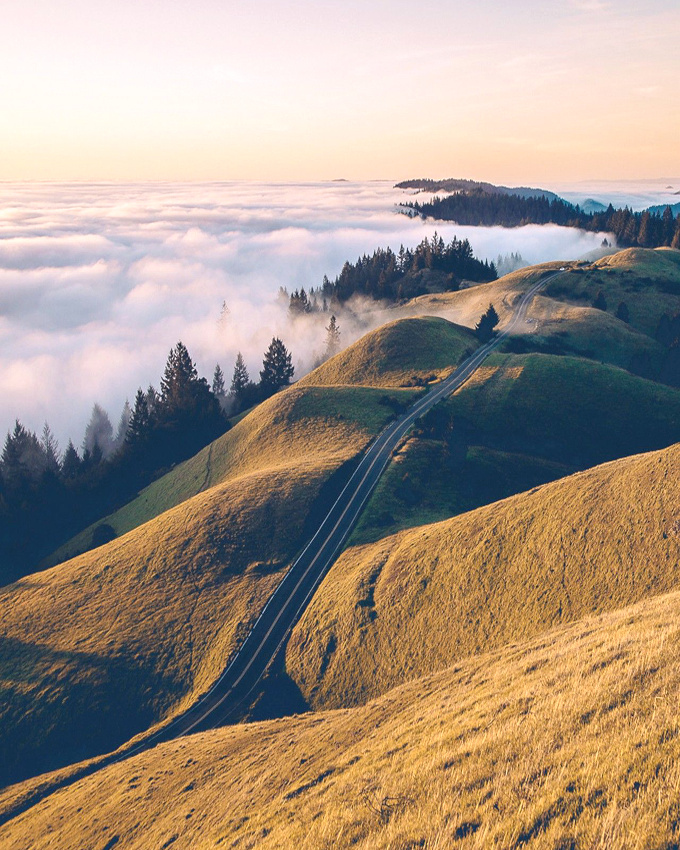 The perfect place #354