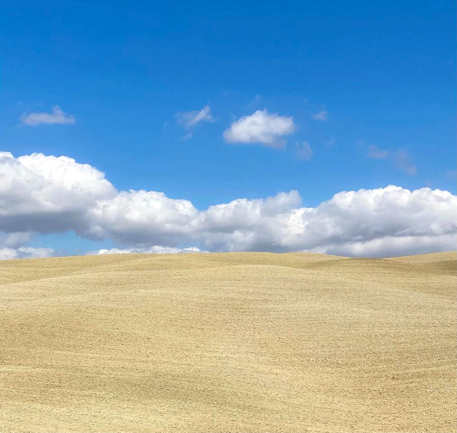 The perfect place #355