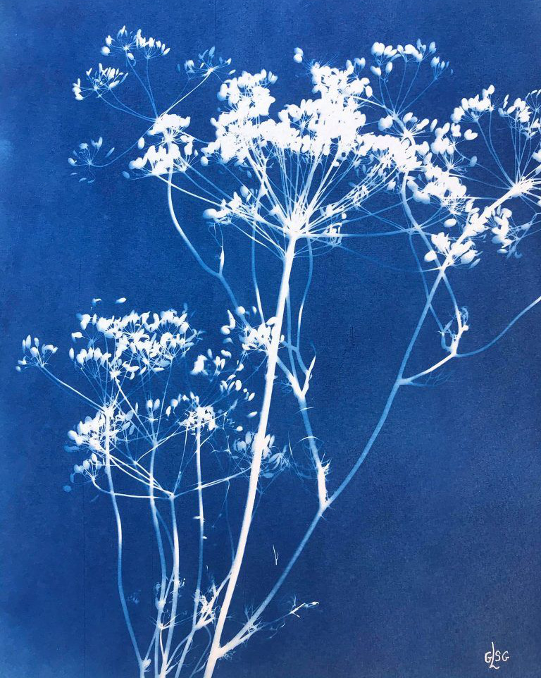 Rien de plus �mouvant que la fragilit�...