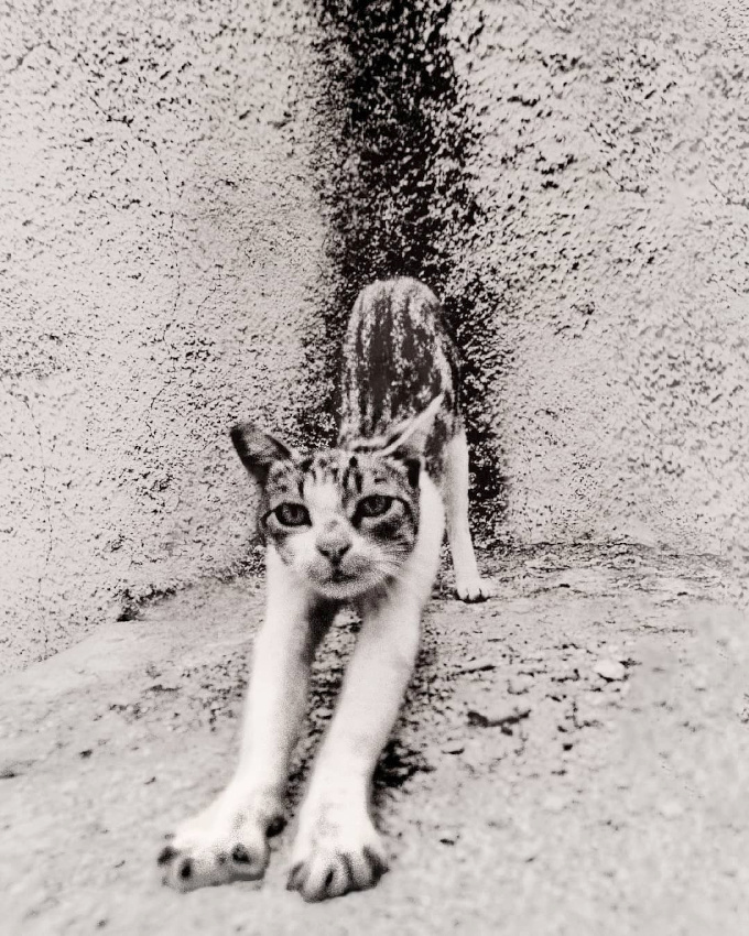 Se pr�parer � affronter sa journ�e... tout un art !