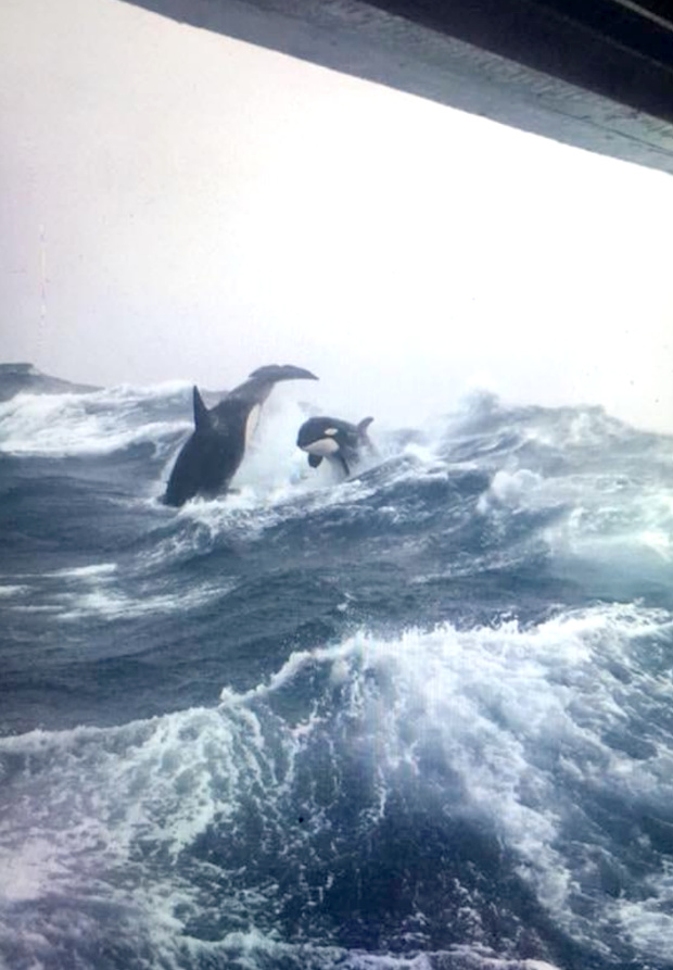 Se laisser surprendre ... tout un art !