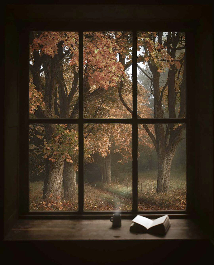 Rien de plus d�licieux que de savourer un paysage d'automne bien au chaud � l'int�rieur...