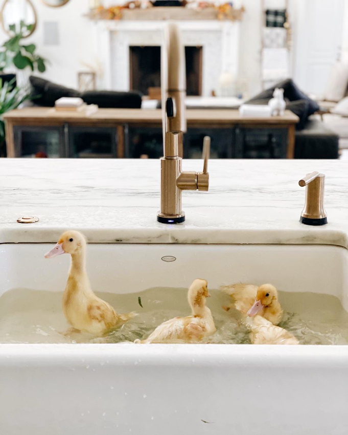 S'adapter aux circonstances... tout un art !