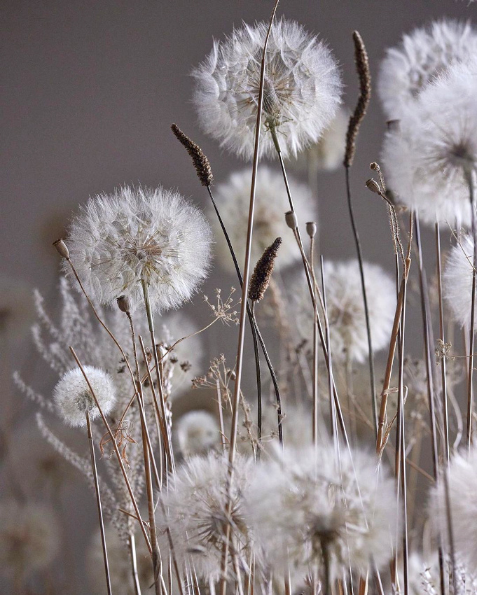 M�lant po�sie et �ph�m�rit�, les oeuvres de Duy Anh Nhan Duc ont tout bon !