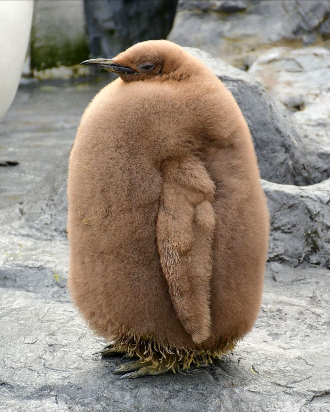 Faire la part belle � sa garde-robe hivernale... tout un art !